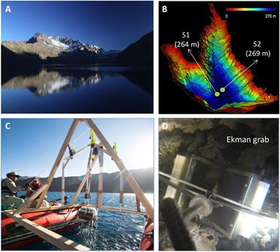 Microbiology and Nitrogen Cycle in the Benthic Sediments of a Glacial Oligotrophic Deep Andean Lake as Analog of Ancient Martian Lake-Beds